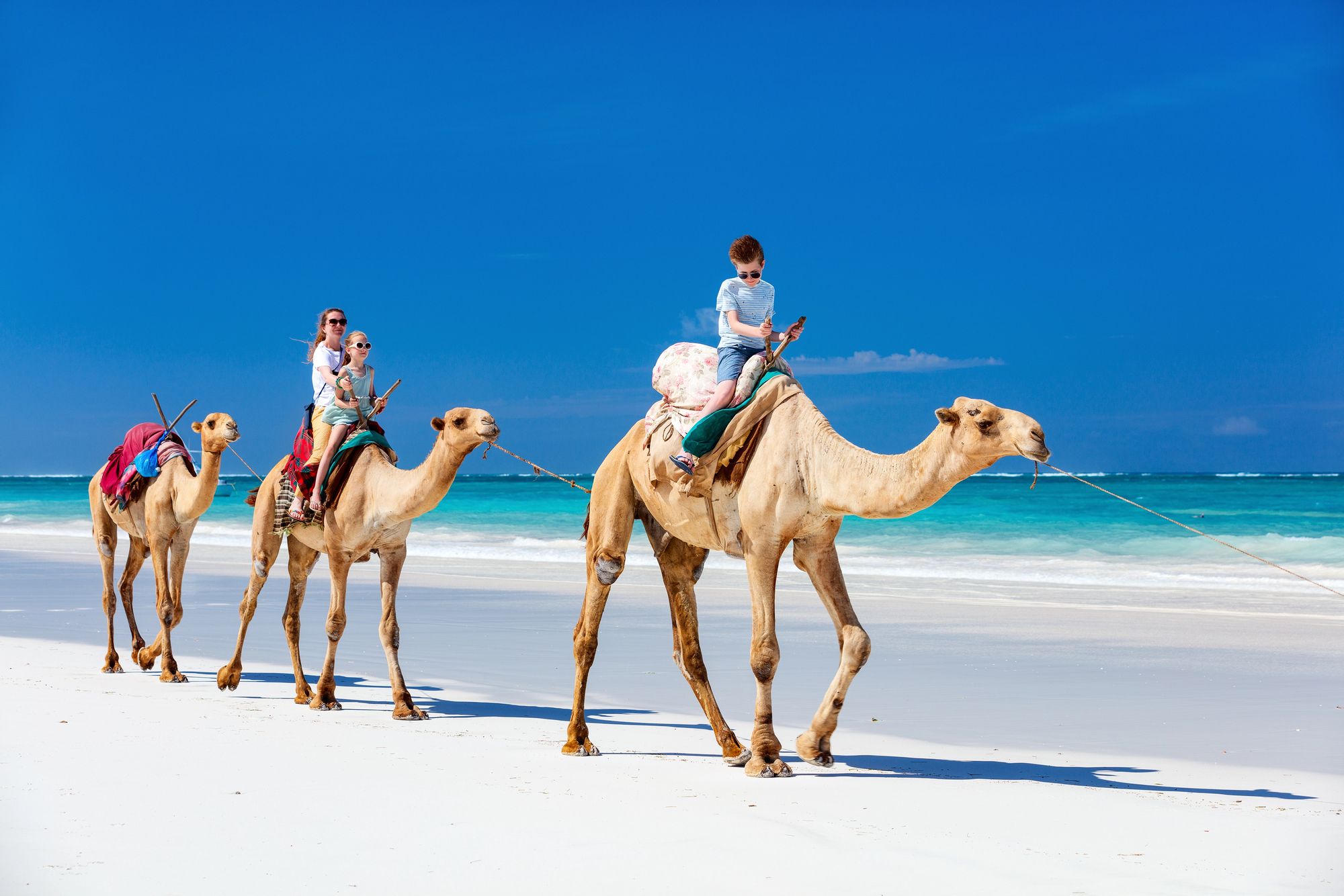 A family riding camels along a white sand beach