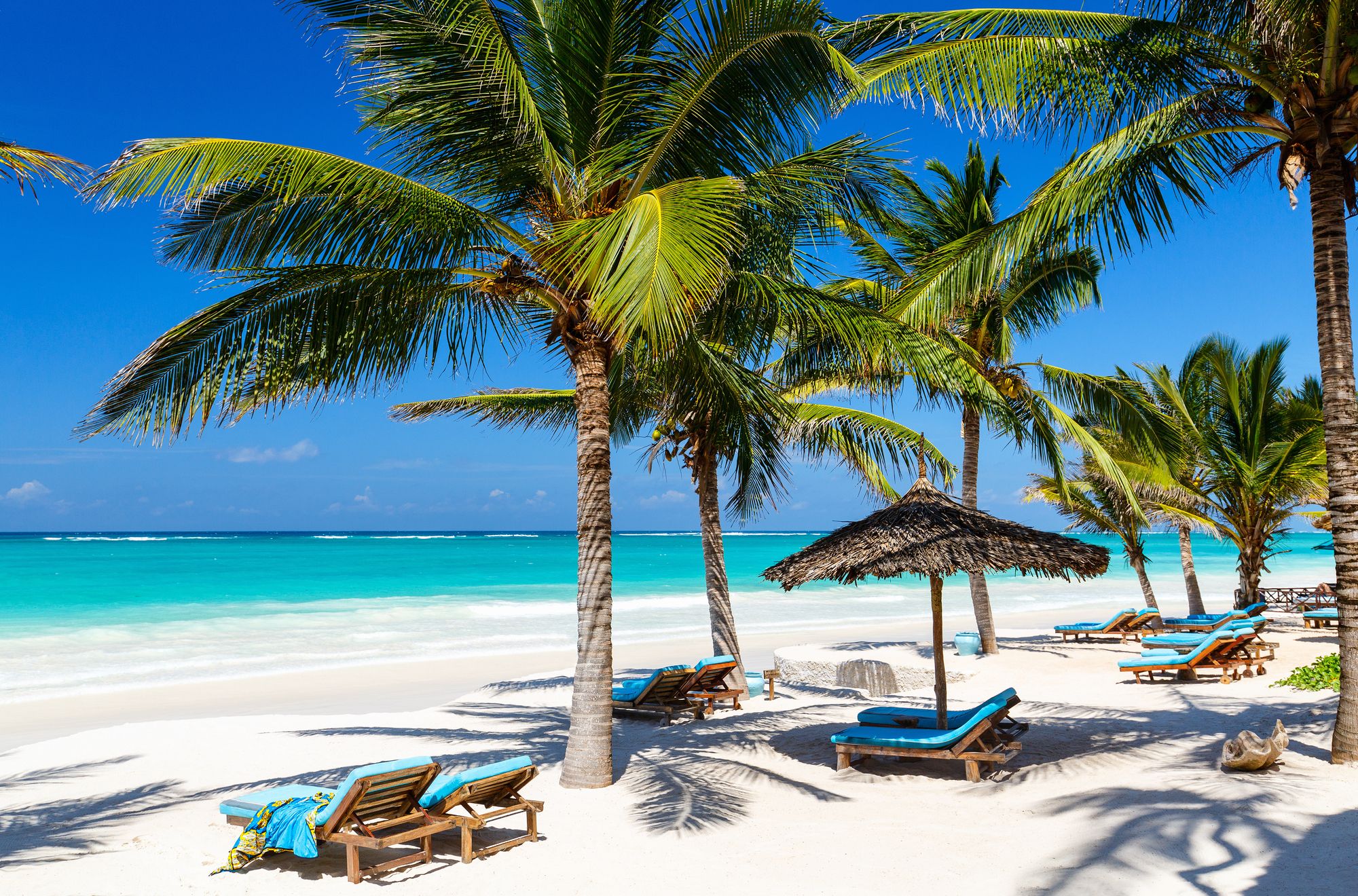 Sunloungers under a thatched umbrella on a palm-fringed beach